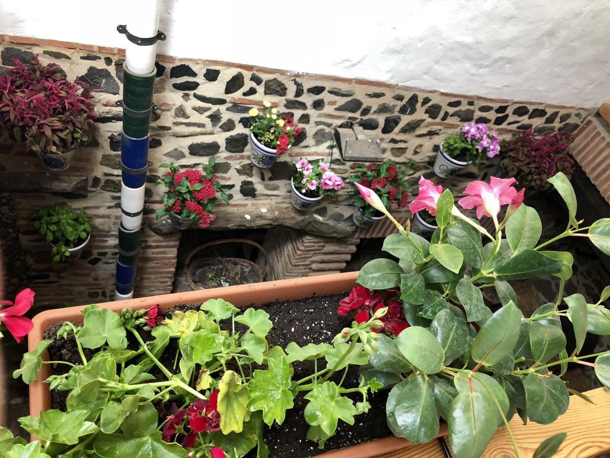 Hotel Posada Del Bandolero Borge Zewnętrze zdjęcie